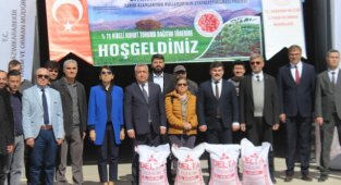 %75 HİBELİ NOHUT VE KURU FASULYE TOHUMU DAĞITIMI YAPILDI.