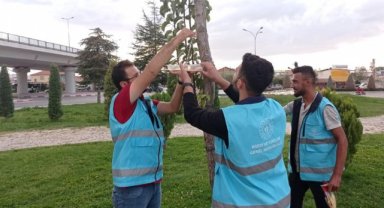 GSB KARAMAN YURDU ÖĞRENCİLERİ HAYVAN SEVGİSİNE DİKKAT ÇEKTİLER