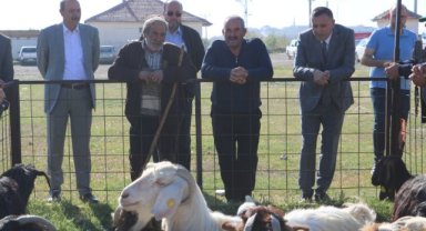 Ünüvar: ‘’8 koyun ve 4 keçi ırkı üzerinde 2 yıldır çalışıyoruz’’