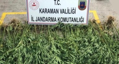 UYUŞTURUCU VE KENEVİR OPERASYONU