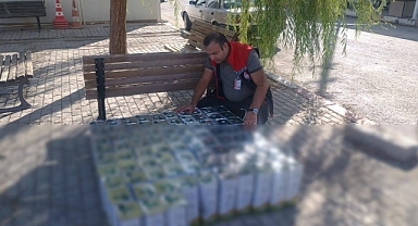 Türk Gıda Kodeksine Uygun Olmayan 410 Litre Zeytinyağı İmha Edildi